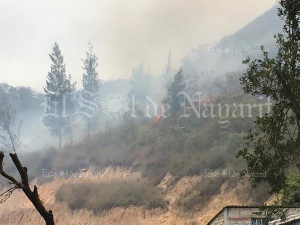 Se Registra Fuerte Incendio En El Cerro De La Colonia Emilio M