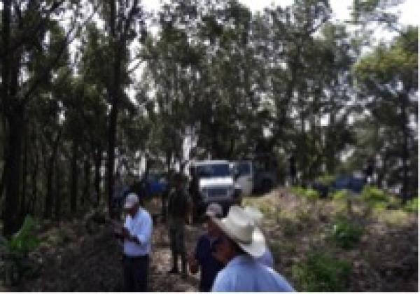 Autoridades constatan ilegal cambio de uso de suelo en área natural