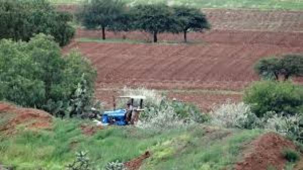 Fallece Joven De A Os De Edad Tras Ser Arrollado Por Tractor En San