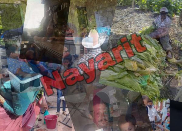 imagen 1 de Opinión || Debemos de despertar