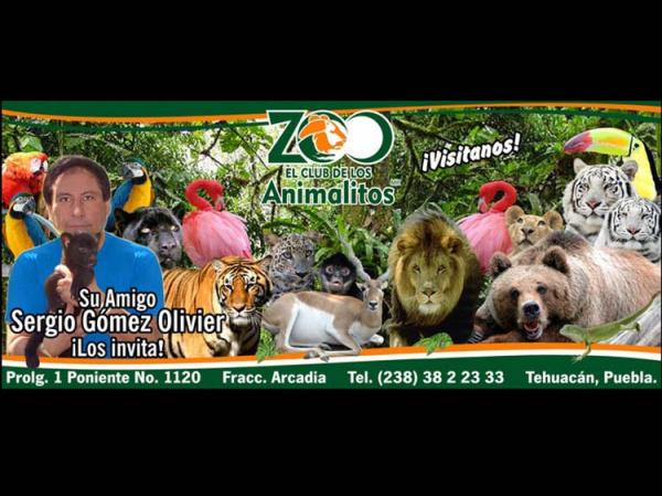 Aseguran 101 animales en zoológico privado de diputado panista en Puebla -  El Sol de Nayarit
