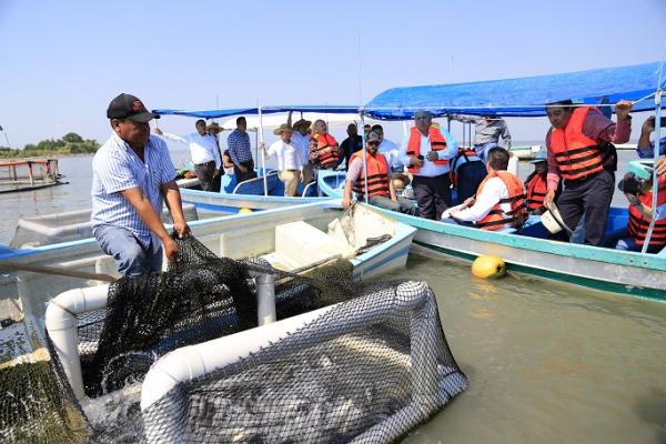 En Cuaresma está garantizado el abasto de productos pesqueros y acuíferos, dice la AMSDA - El Sol de Nayarit