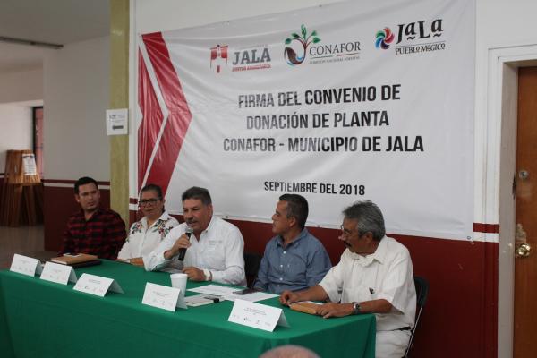 Dona CONAFOR 118 mil árboles para reforestación en Jala - El Sol de Nayarit