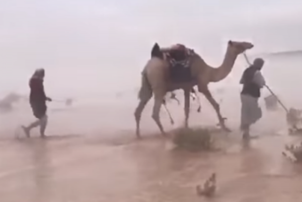 Video Reportan inesperadas inundaciones en el desierto de Arabia