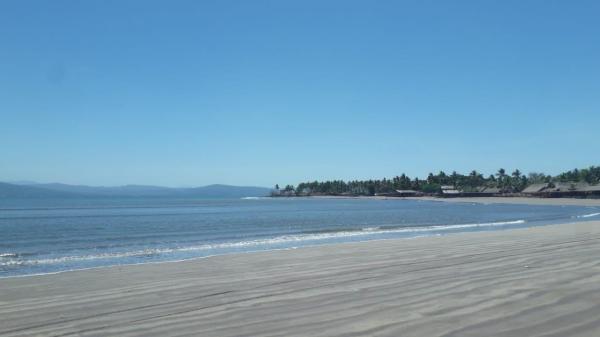 Continúa Bandera Morada en playa Guayabitos por la presencia de fauna  nociva - El Sol de Nayarit