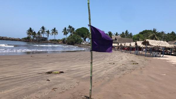 Por presencia de medusa colocan bandera morada en playas de San Blas - El  Sol de Nayarit